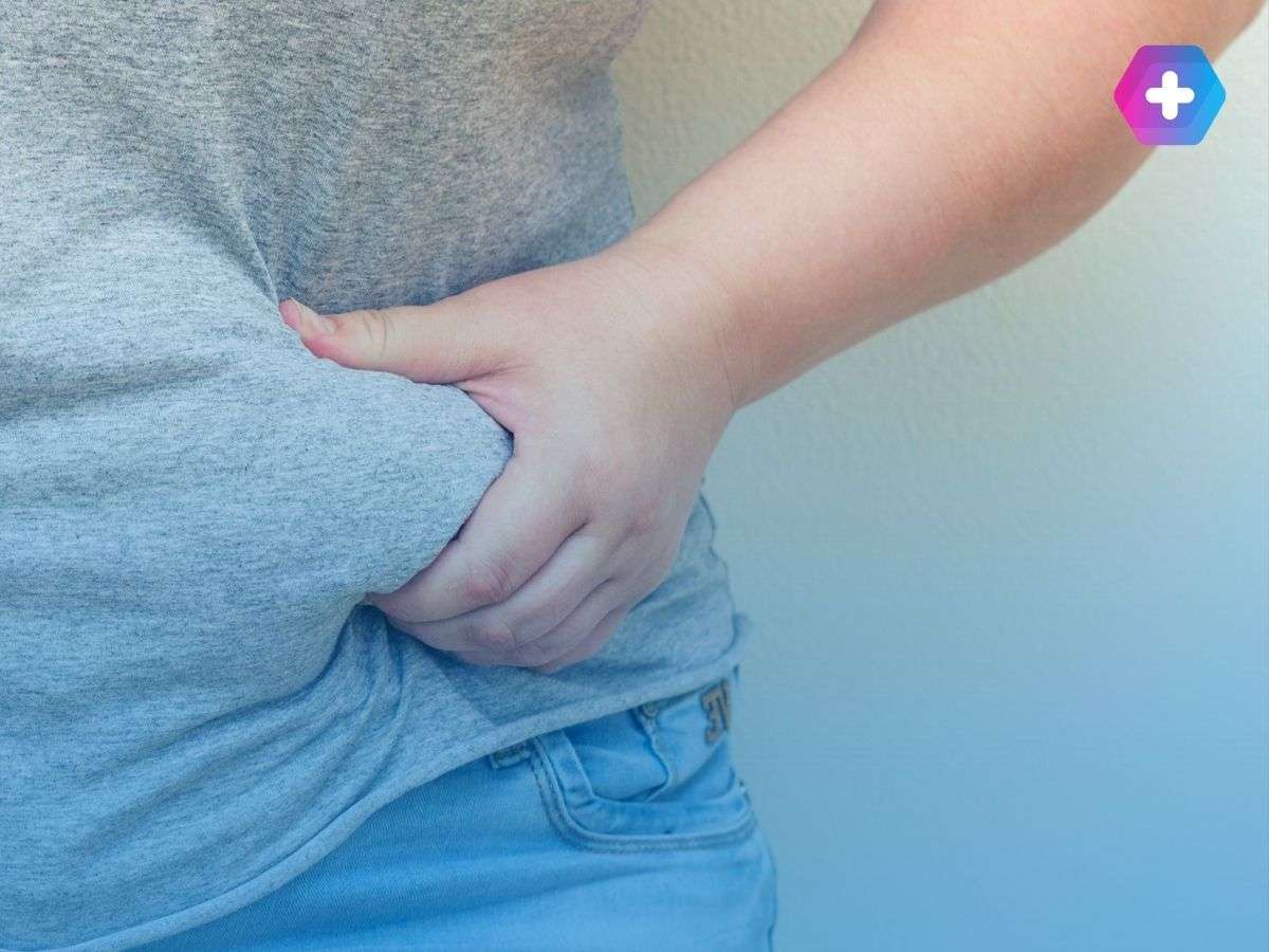 Stomach fat 